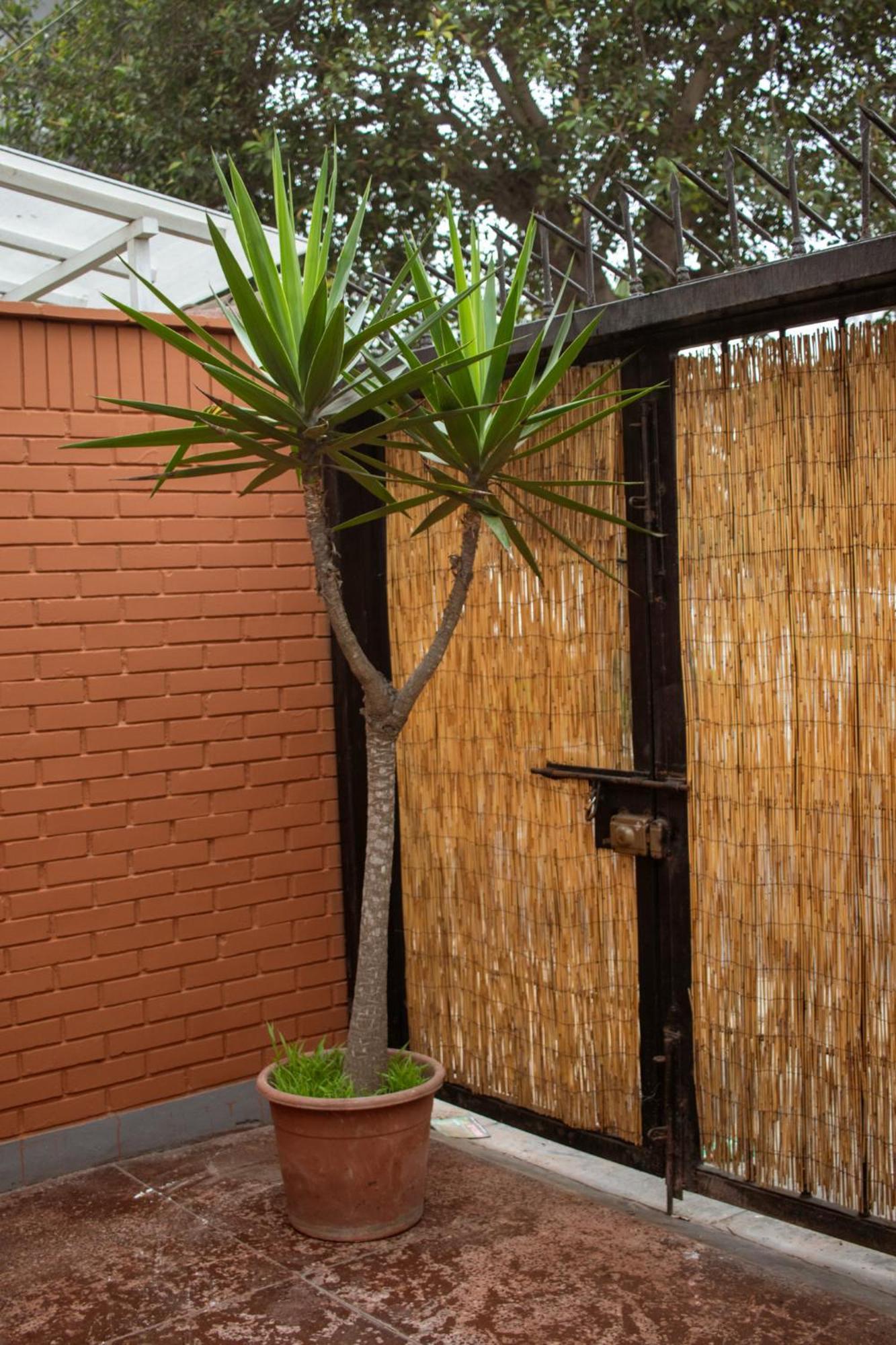 Temazcal Hostel Lima Buitenkant foto