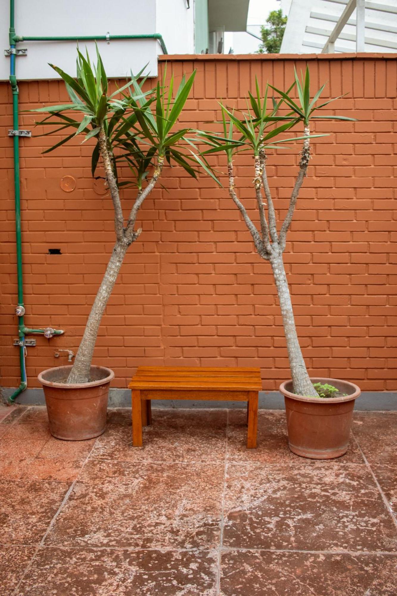 Temazcal Hostel Lima Buitenkant foto