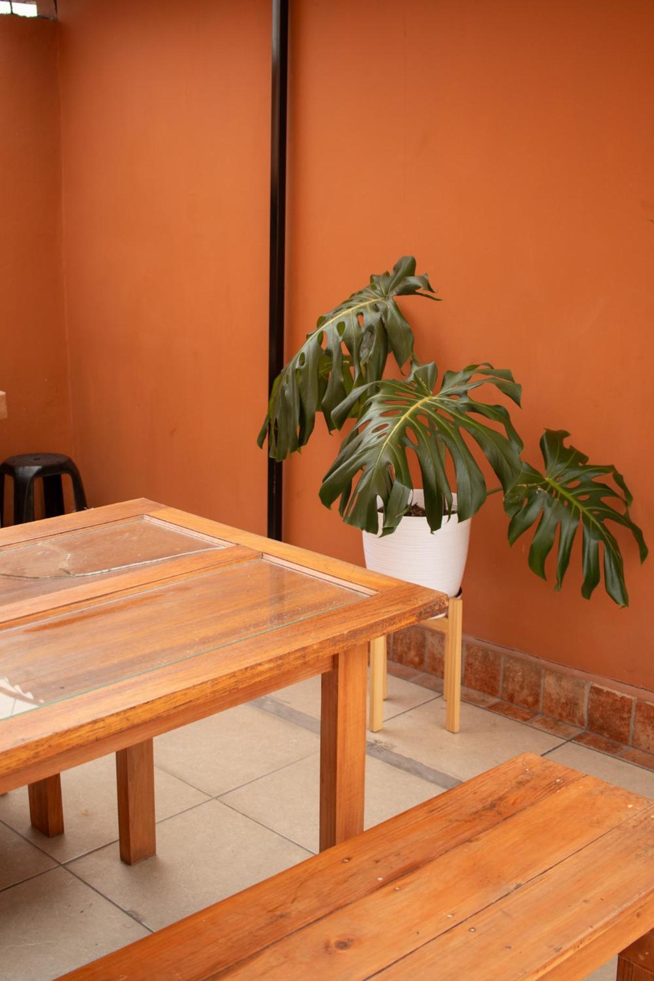 Temazcal Hostel Lima Buitenkant foto